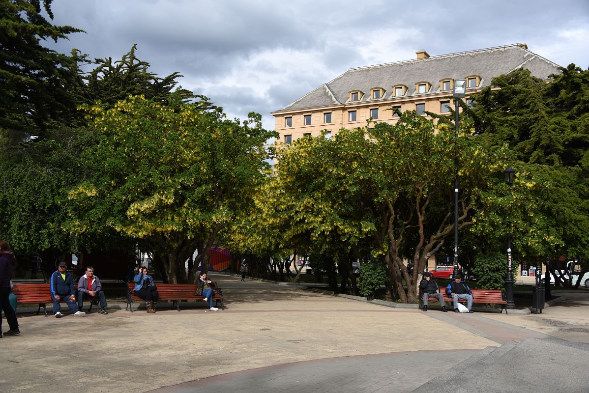 04A Trees In Plaza De Armas Munoz Gamero With Hotel Cabo de Hornos Beyond In Punta Arenas Chile